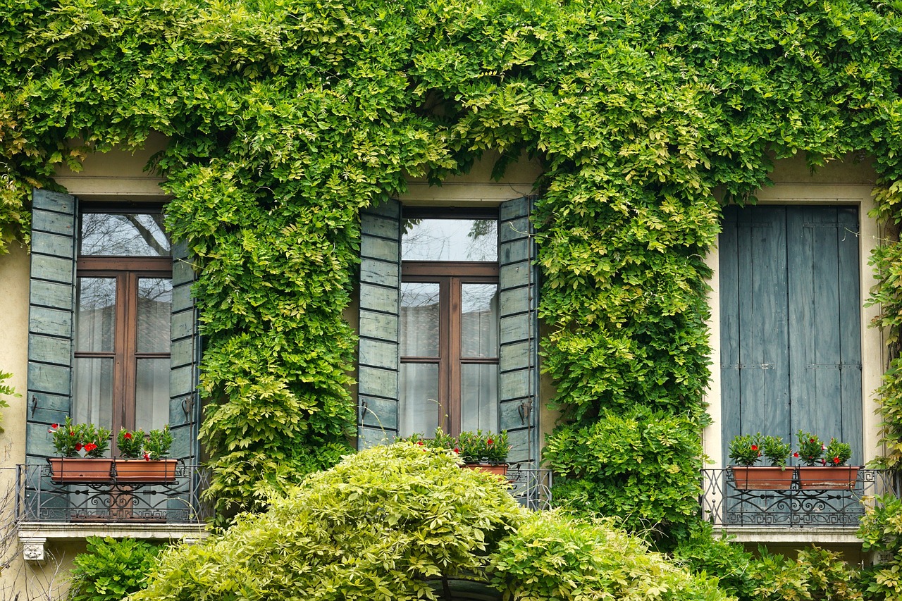 What to Look for in a Home Safe